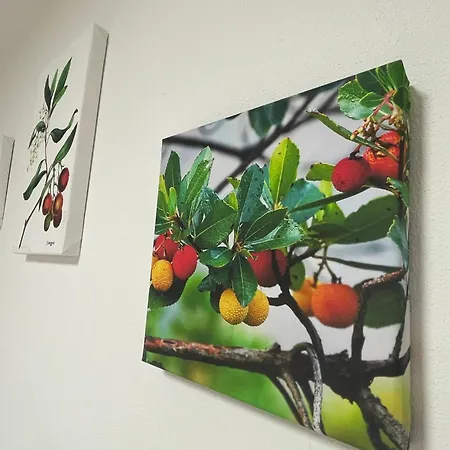 Dimora Mediterranea - Panzió La Maddalena