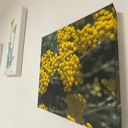 Dimora Mediterranea - *